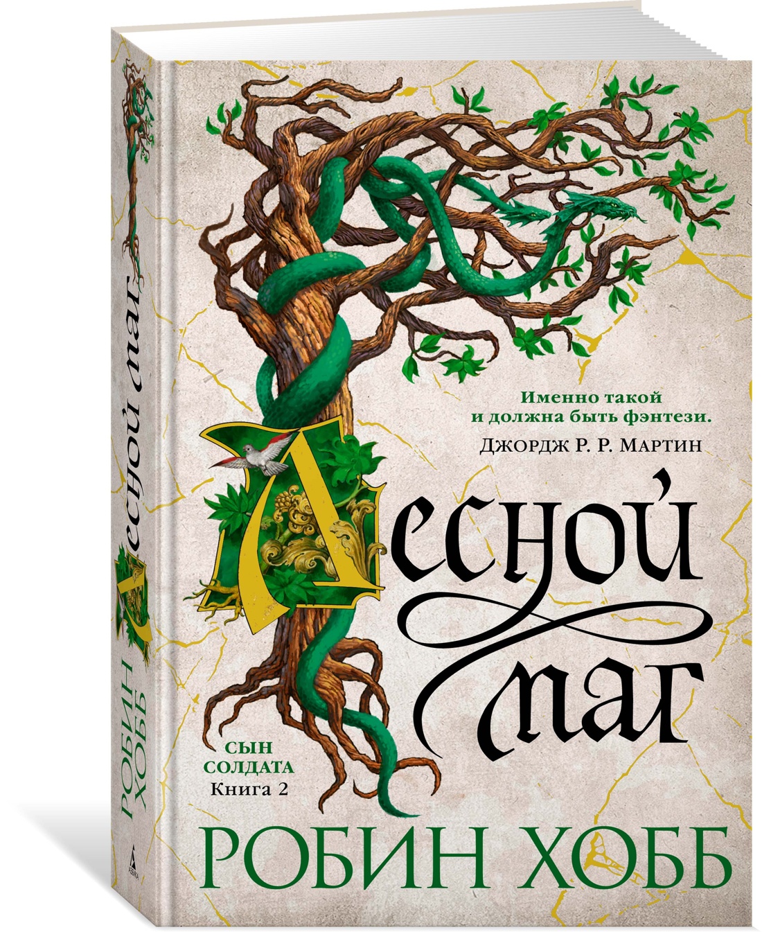 Сын солдата. Книга 2. Лесной маг