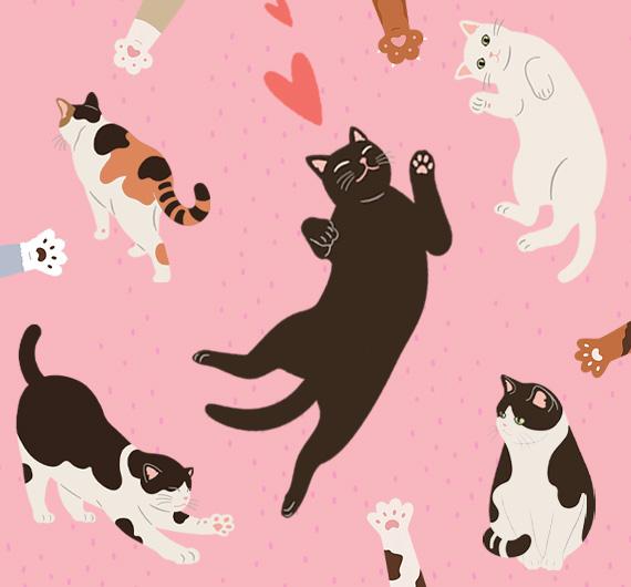 Коты правят миром. 15 книг, которые это доказывают 