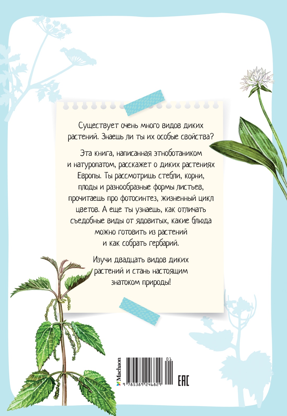 Растения вокруг нас