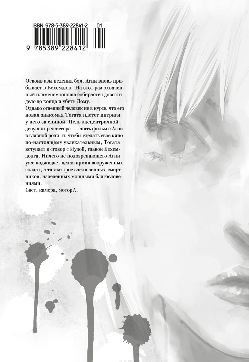 Огненный удар. Книга 2
