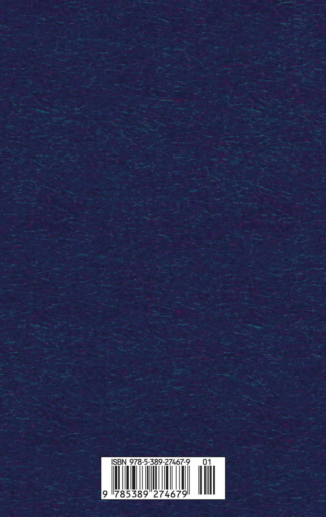 Дневник провинциала в Петербурге