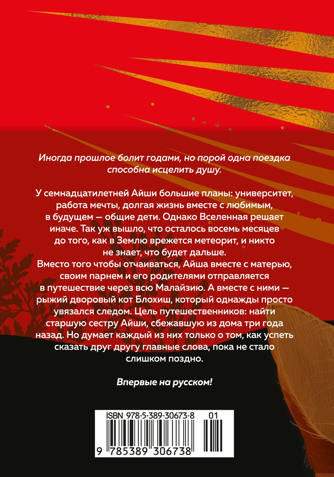 Выходя из дома, не забудьте кота