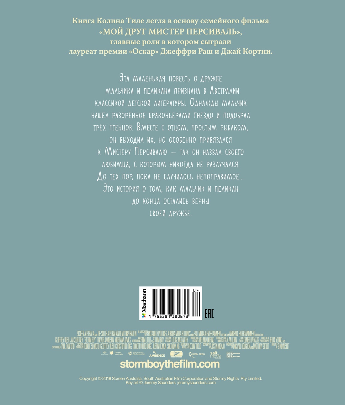 Штормик и мистер Персиваль