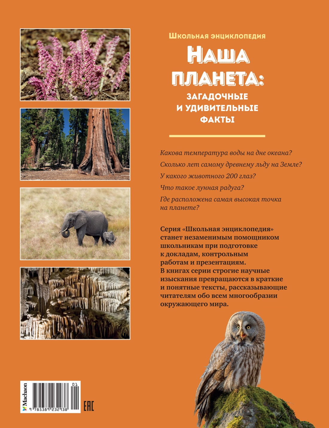 Наша планета: загадочные и удивительные факты