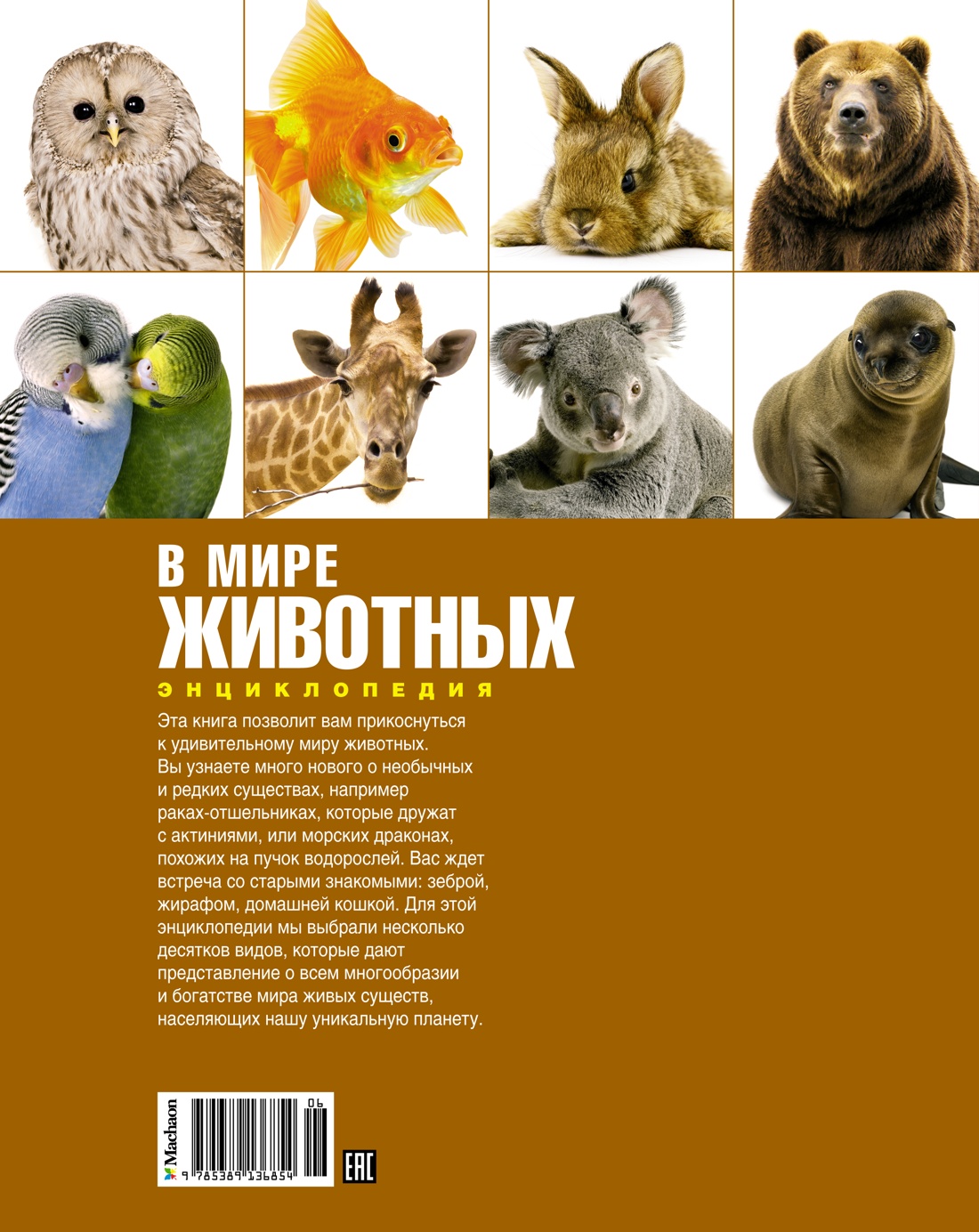 В мире животных