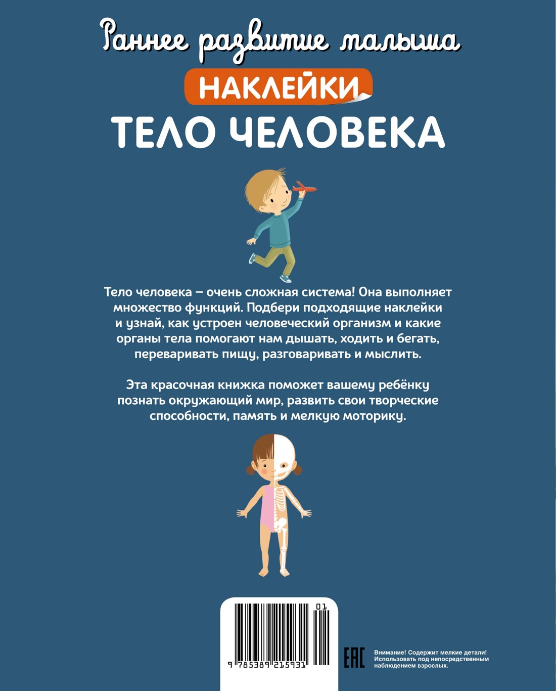 Тело человека