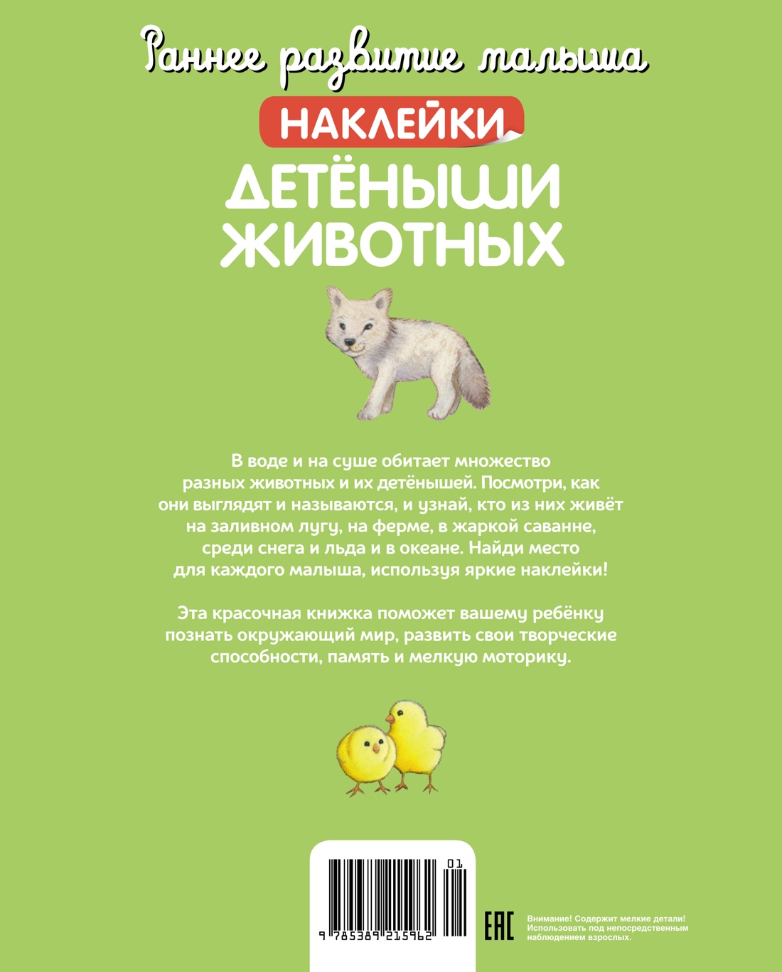 Детёныши животных