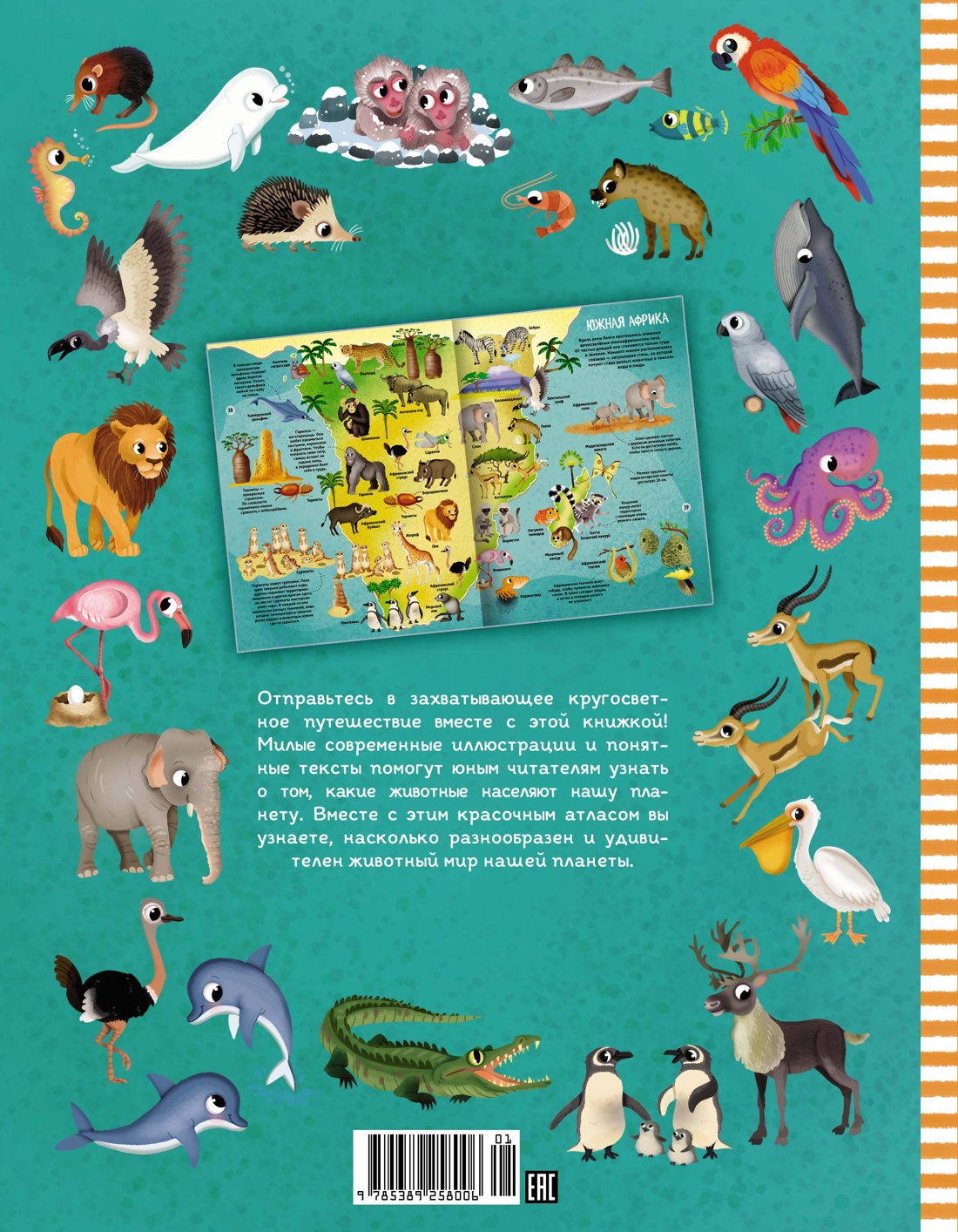 Мир животных в картинках