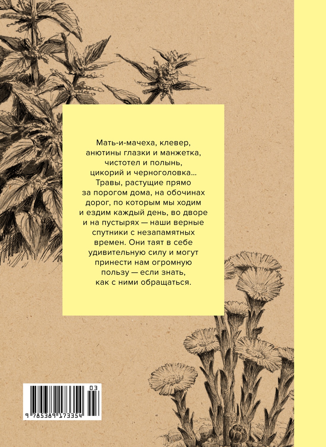 Травы: Природный источник жизненной силы