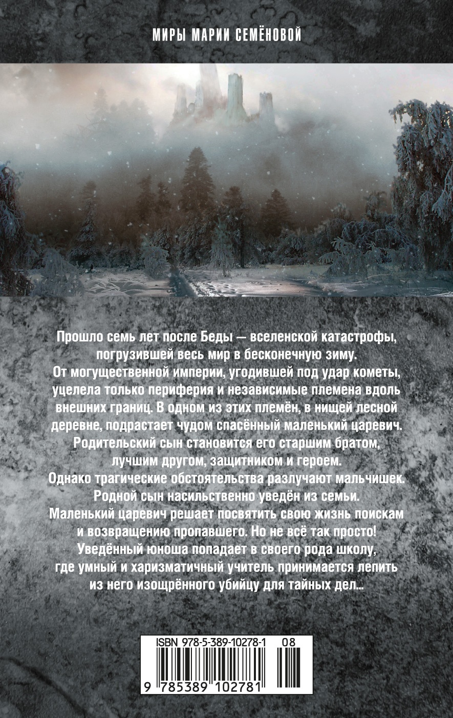 Братья. Книга 1. Тайный воин