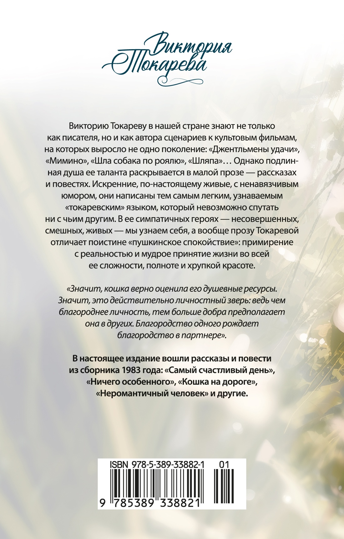 Кошка на дороге