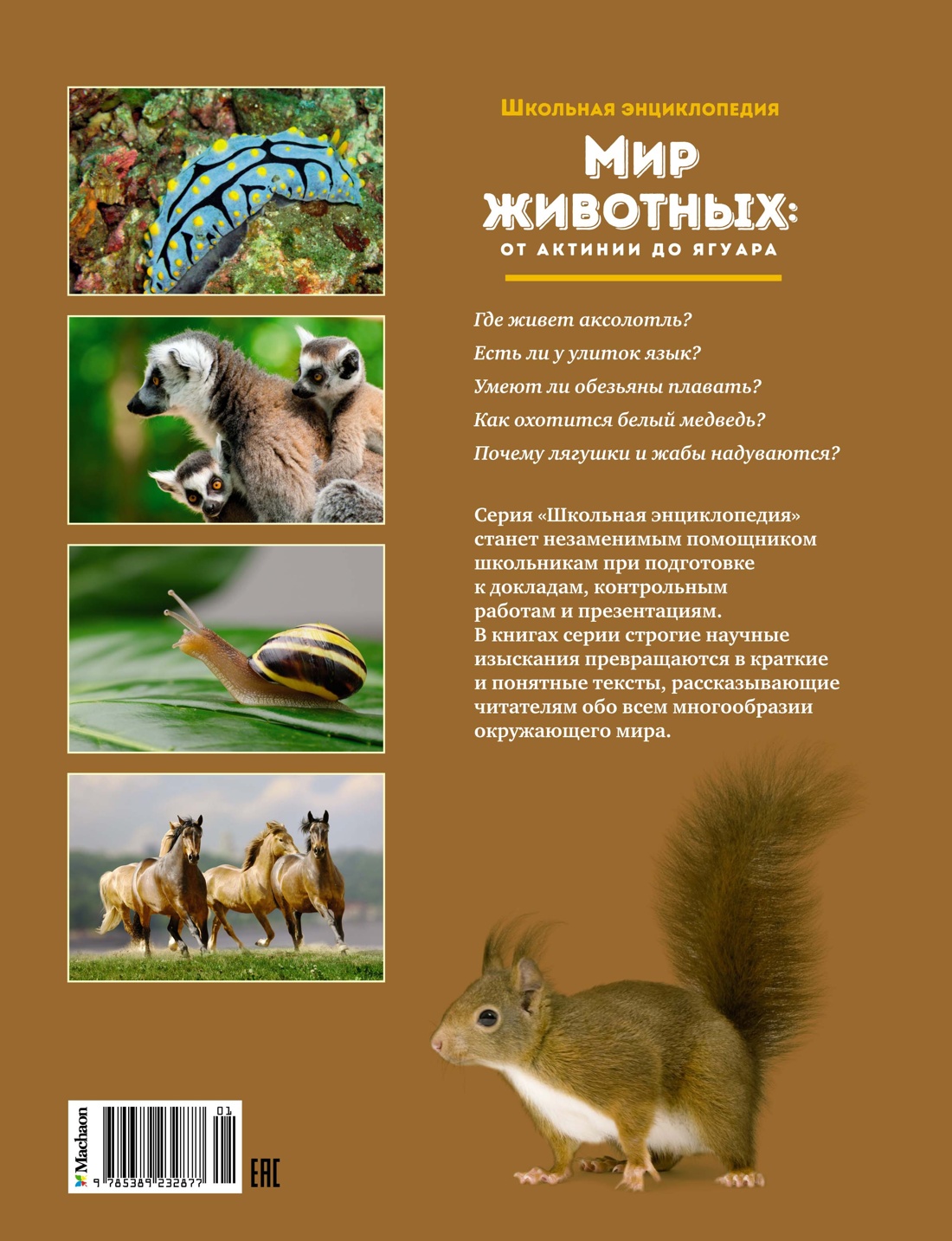 Мир животных: От актинии до ягуара