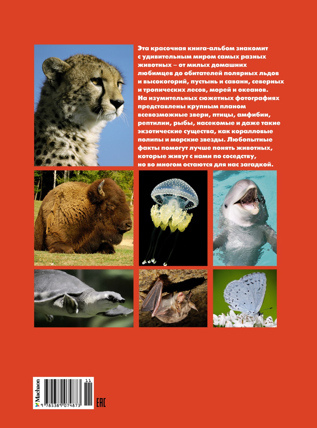 Моя большая книга о животных