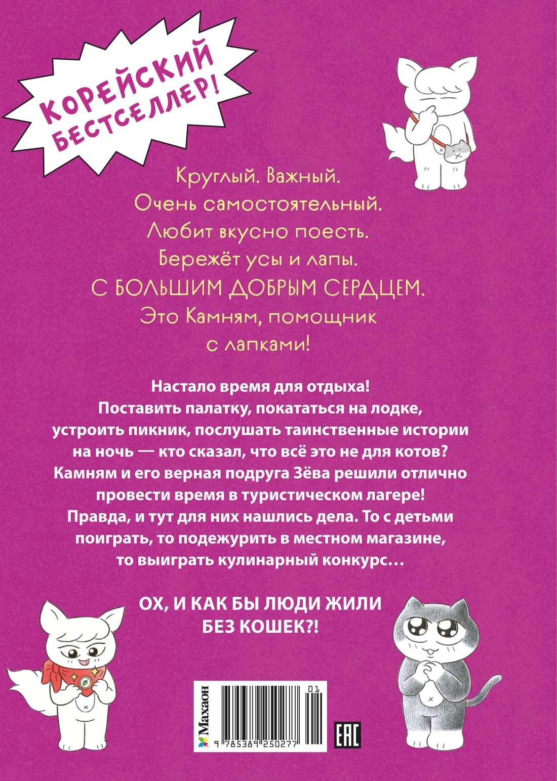 Кот идёт в поход