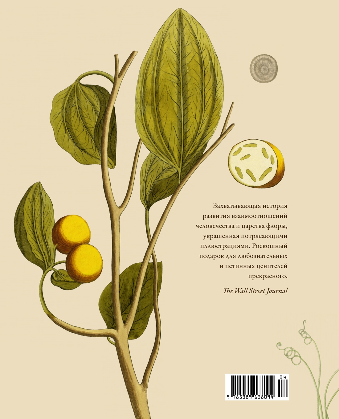 Выдающиеся растения, которые изменили нашу жизнь