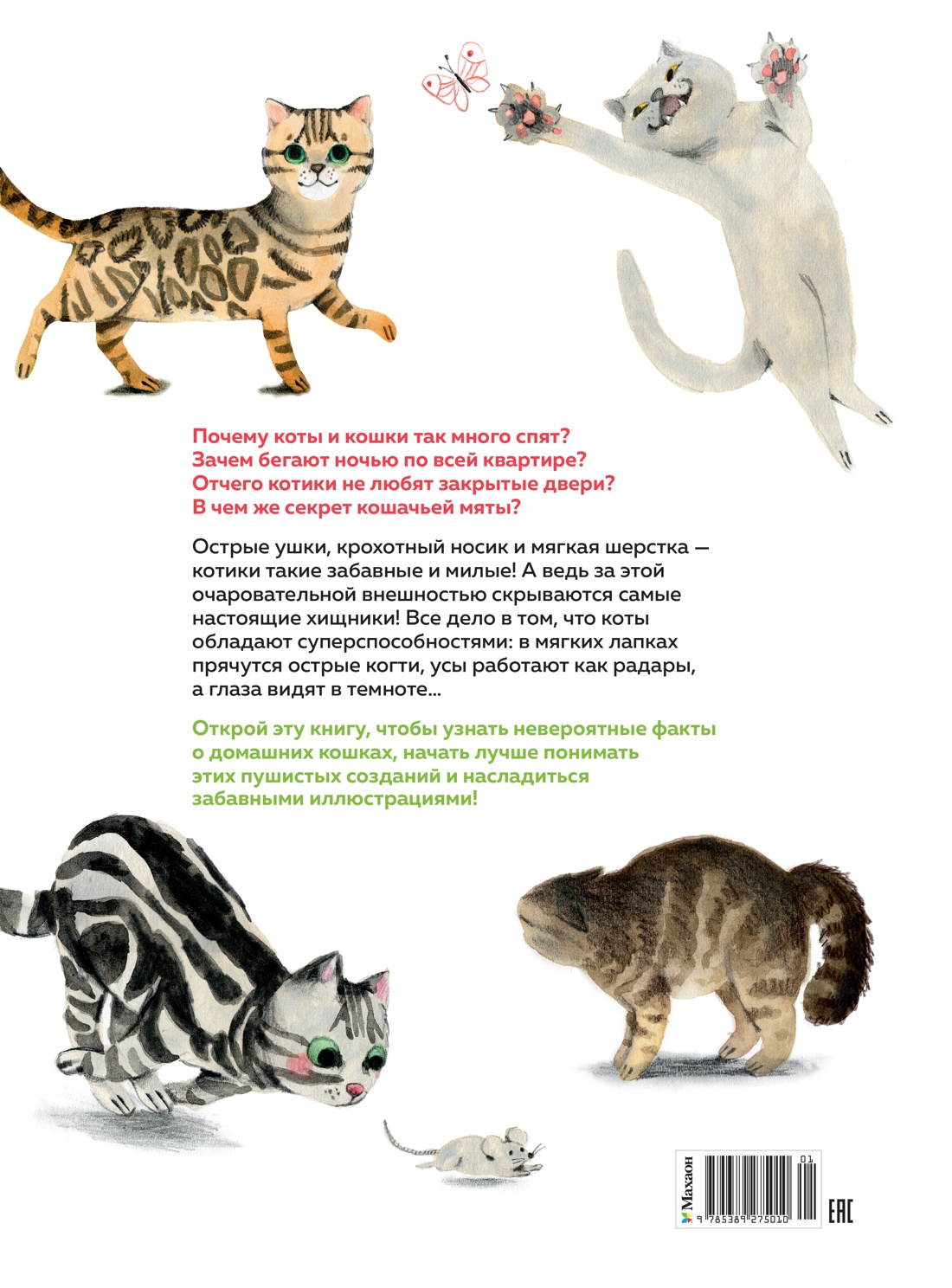 Невероятные коты. Всё, что нужно знать о любимых питомцах