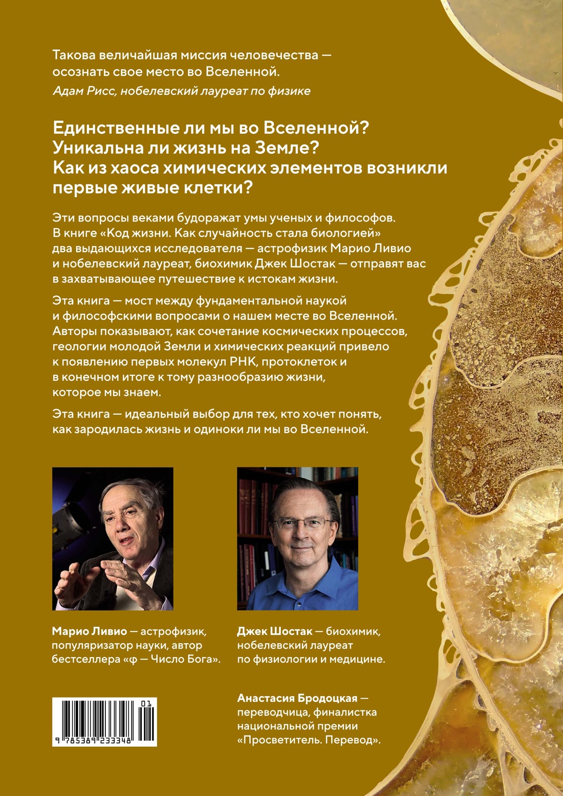 Код жизни. Как случайность стала биологией