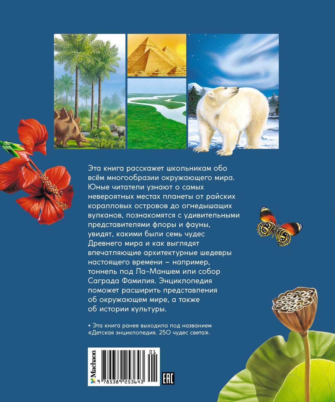 Детская энциклопедия про всё на свете