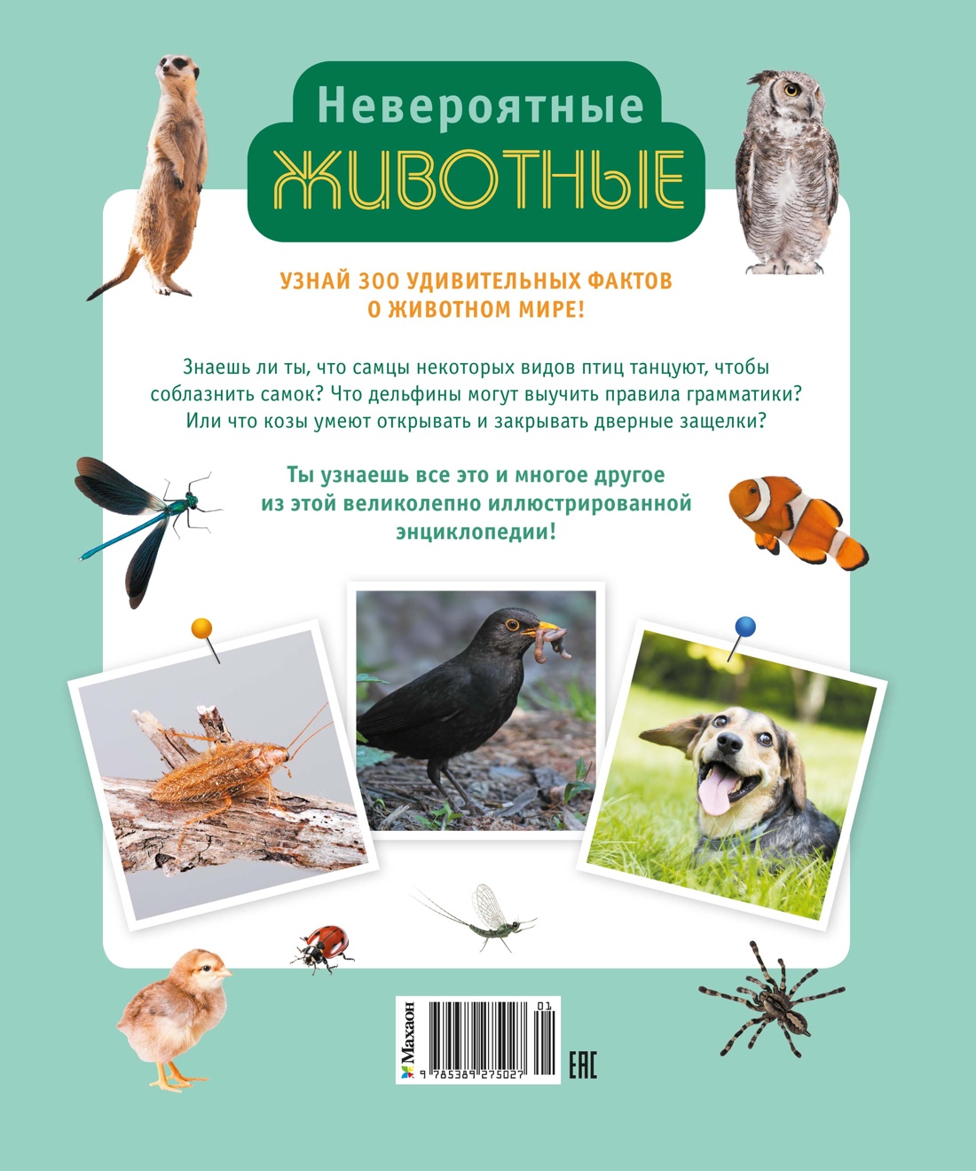 Невероятные животные