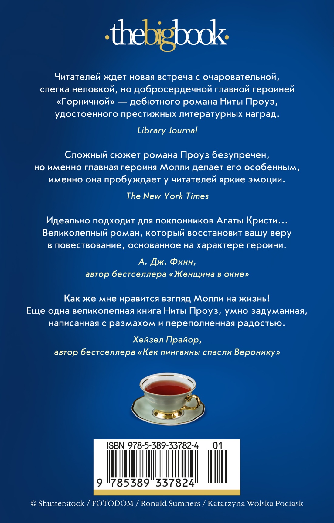Таинственный гость