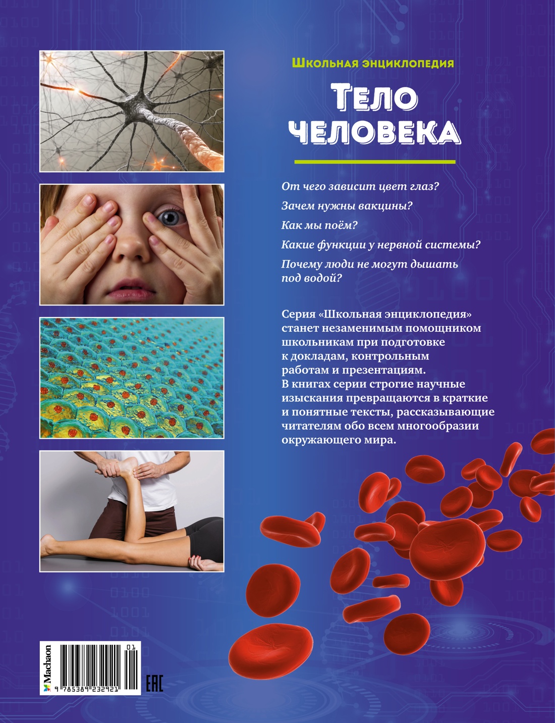 Тело человека