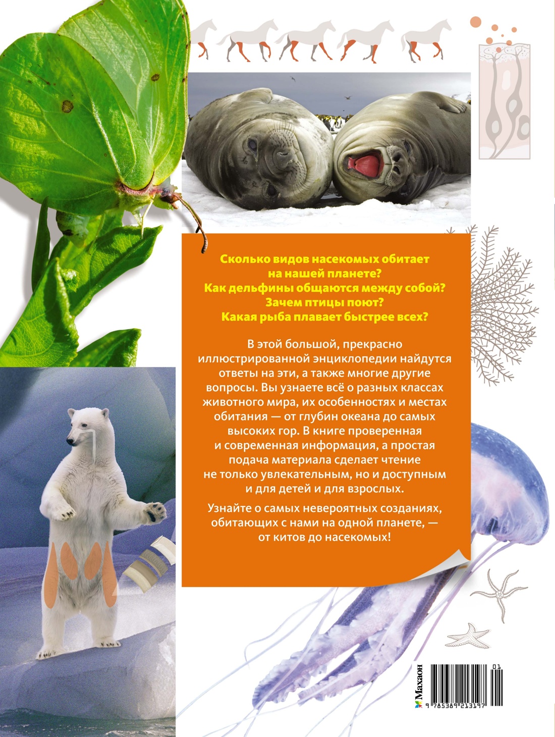 Тайны животных. Большая иллюстрированная энциклопедия