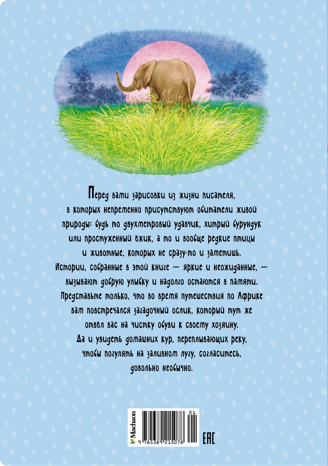 Зачем белке хвост. Рассказы