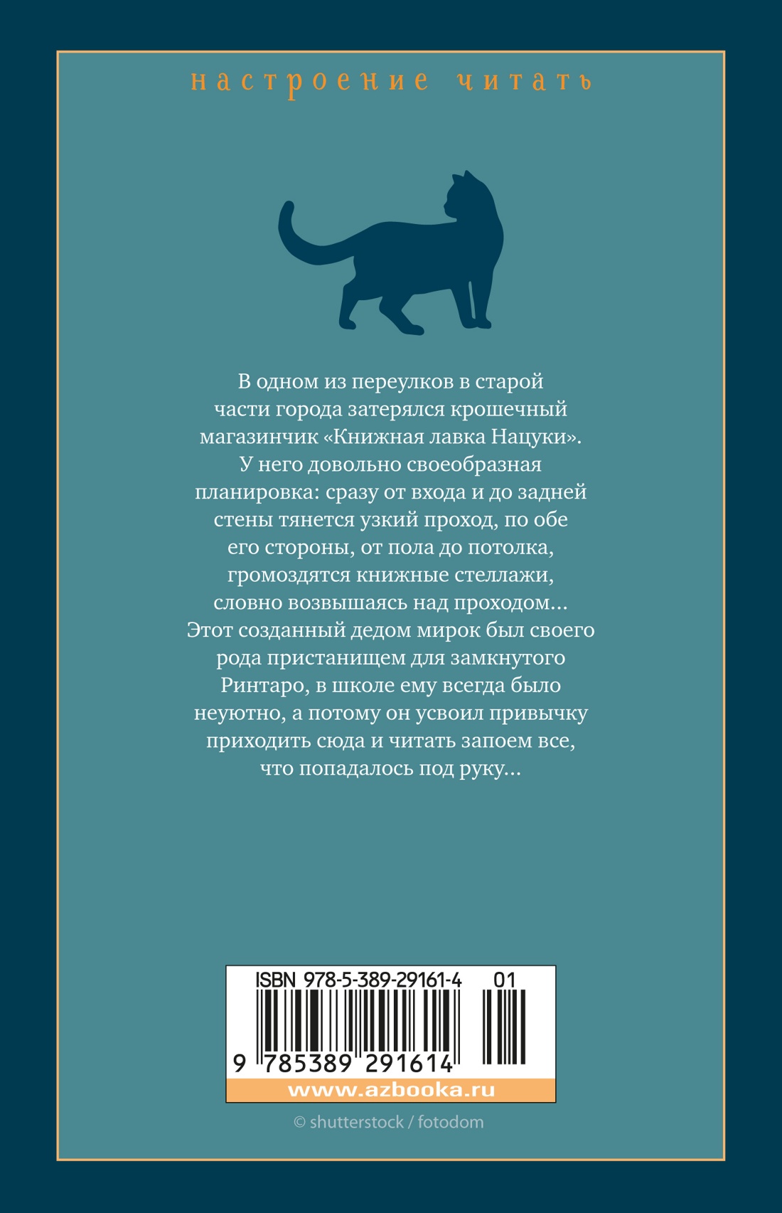 Кот, который любил книги
