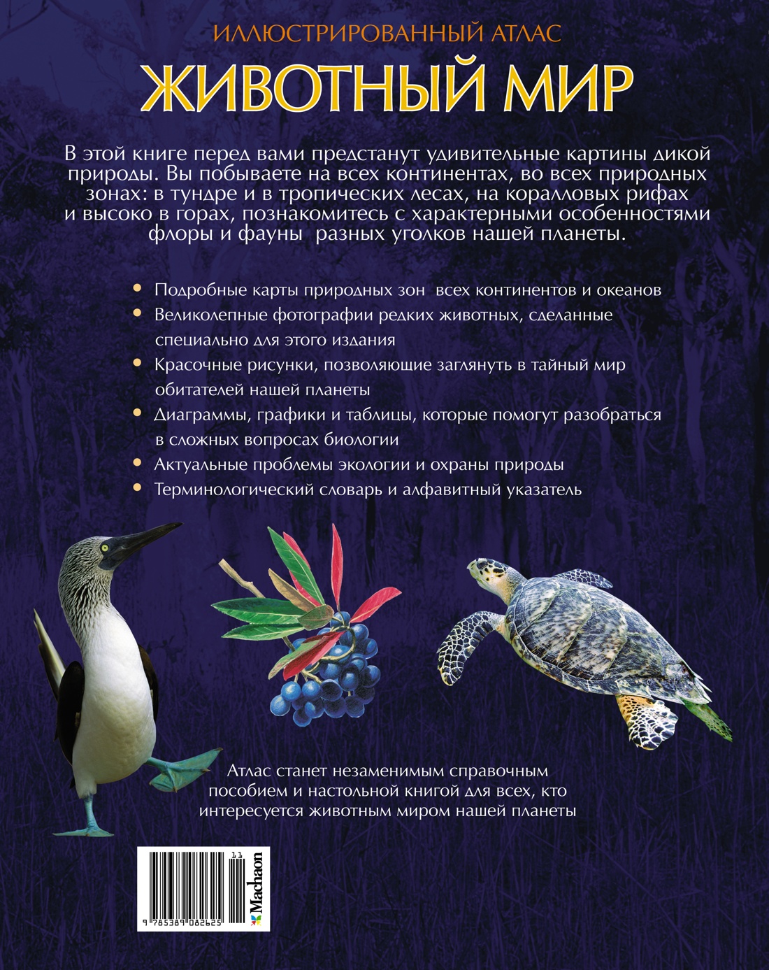 Животный мир. Иллюстрированный атлас