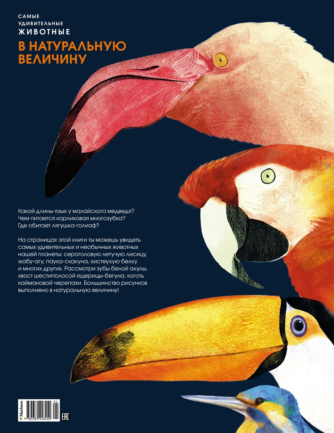 Самые удивительные животные в натуральную величину