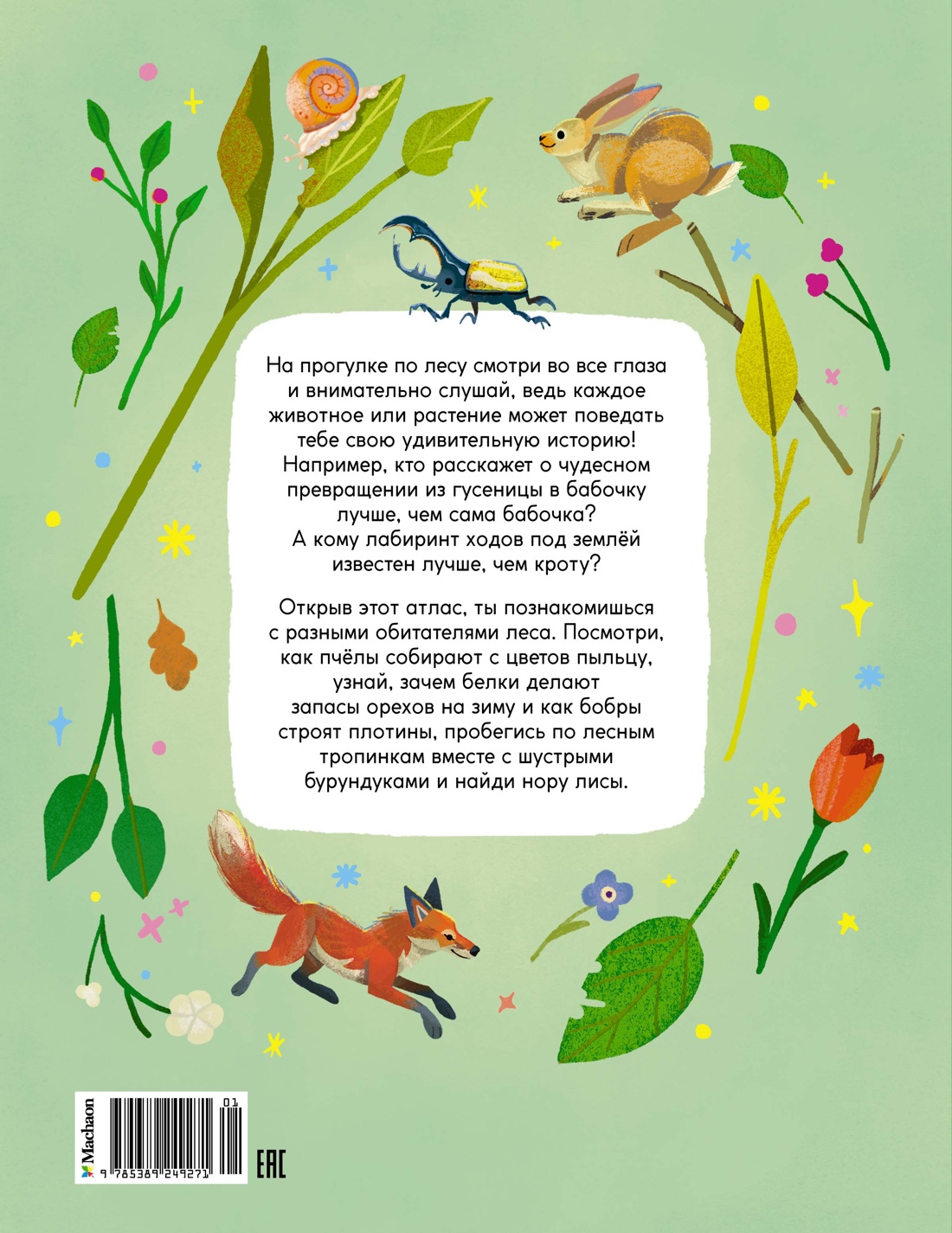 Кто живёт в лесу? Иллюстрированный атлас животных