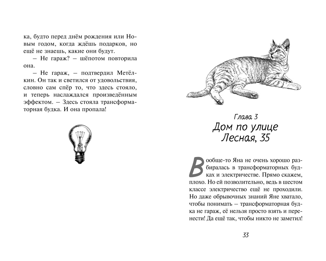 Расследование в кафе «Крендель с корицей», Отрывок из книги