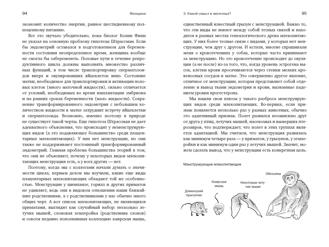 Женщина: эволюционный взгляд на то, как и почему появилась женская форма, Отрывок из книги