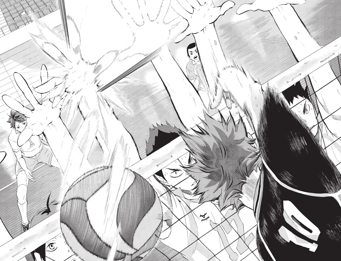 Волейбол! Книга 4. Эволюция. Больше не одинокий Король, Отрывок из книги