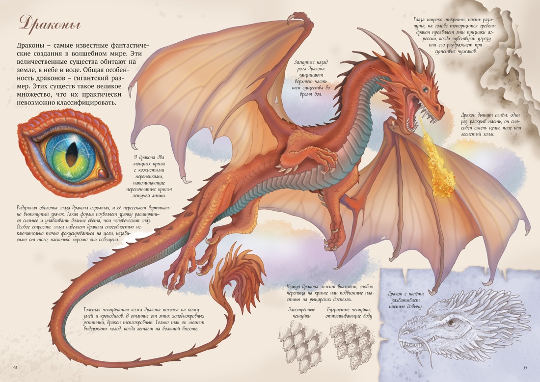 Волшебные существа. Энциклопедия, Отрывок из книги