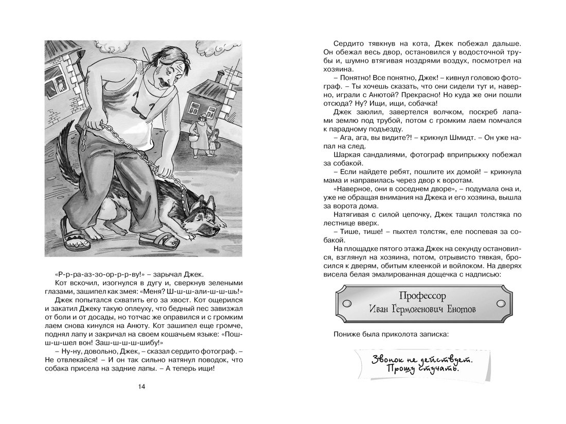 Необыкновенные приключения Карика и Вали, Ян Ларри