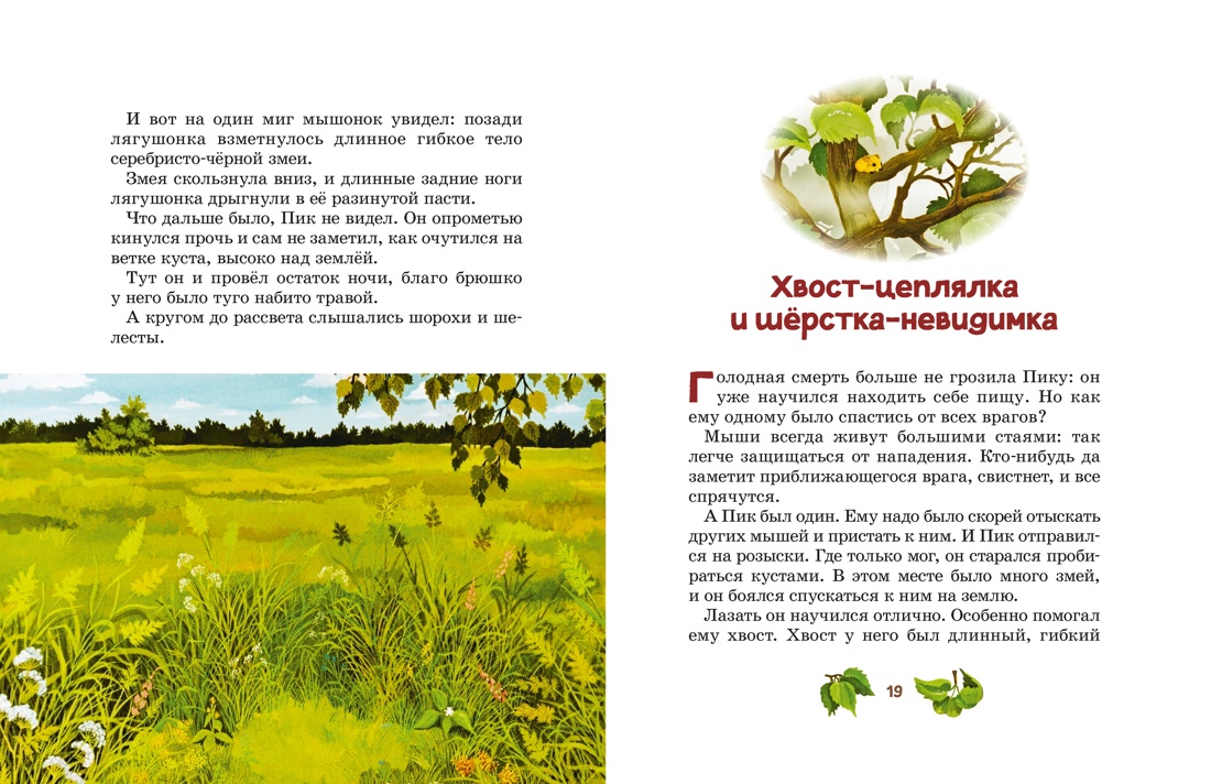 Мышонок Пик, Отрывок из книги