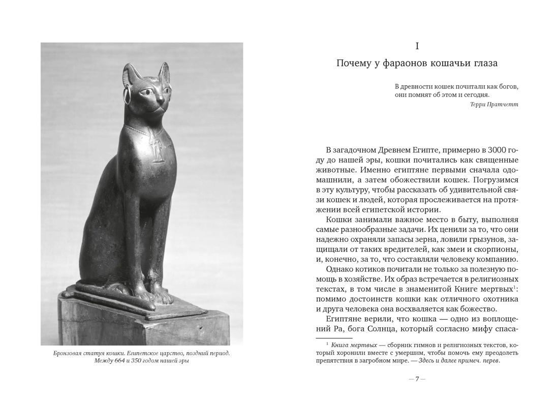 Кошки правят миром, Отрывок из книги