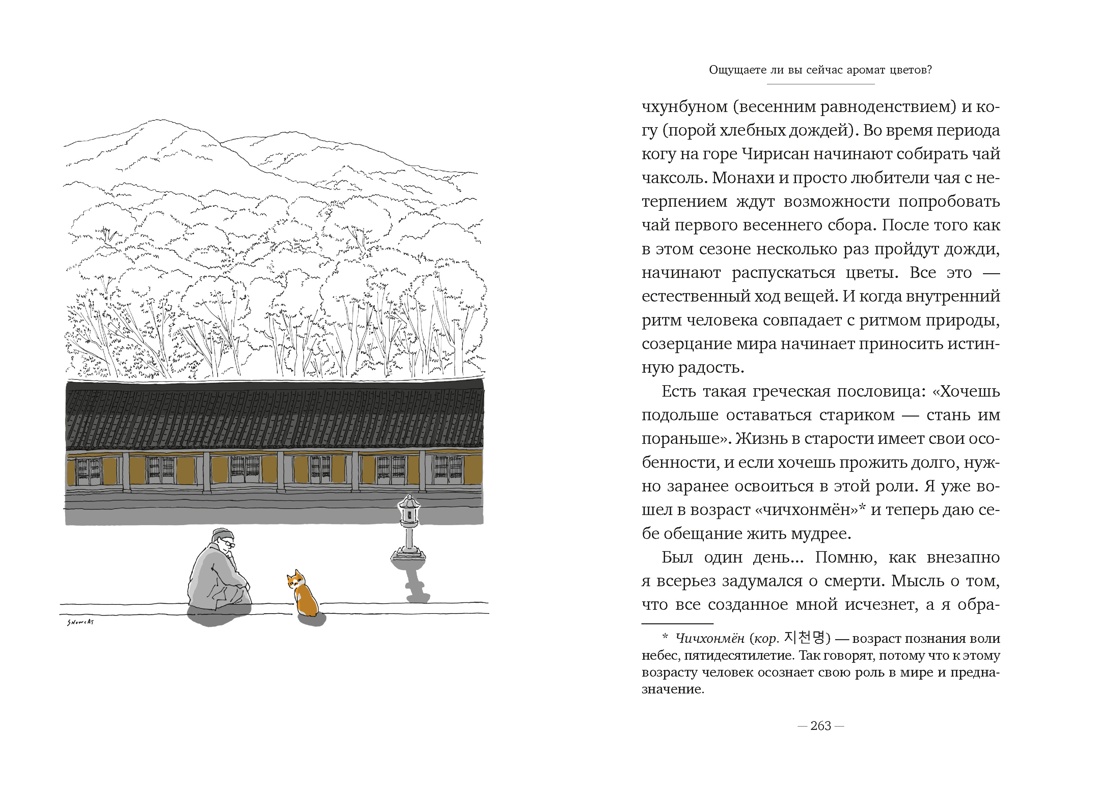 Однажды ко мне пришел кот, Отрывок из книги