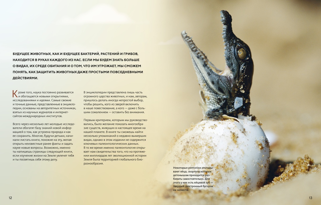 Огромная энциклопедия животных мира, Отрывок из книги