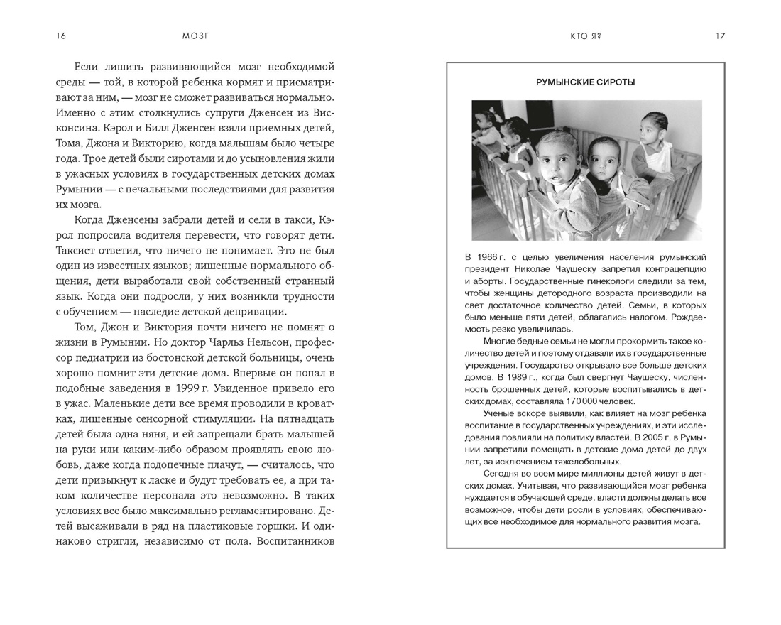 Мозг: Ваша личная история, Отрывок из книги