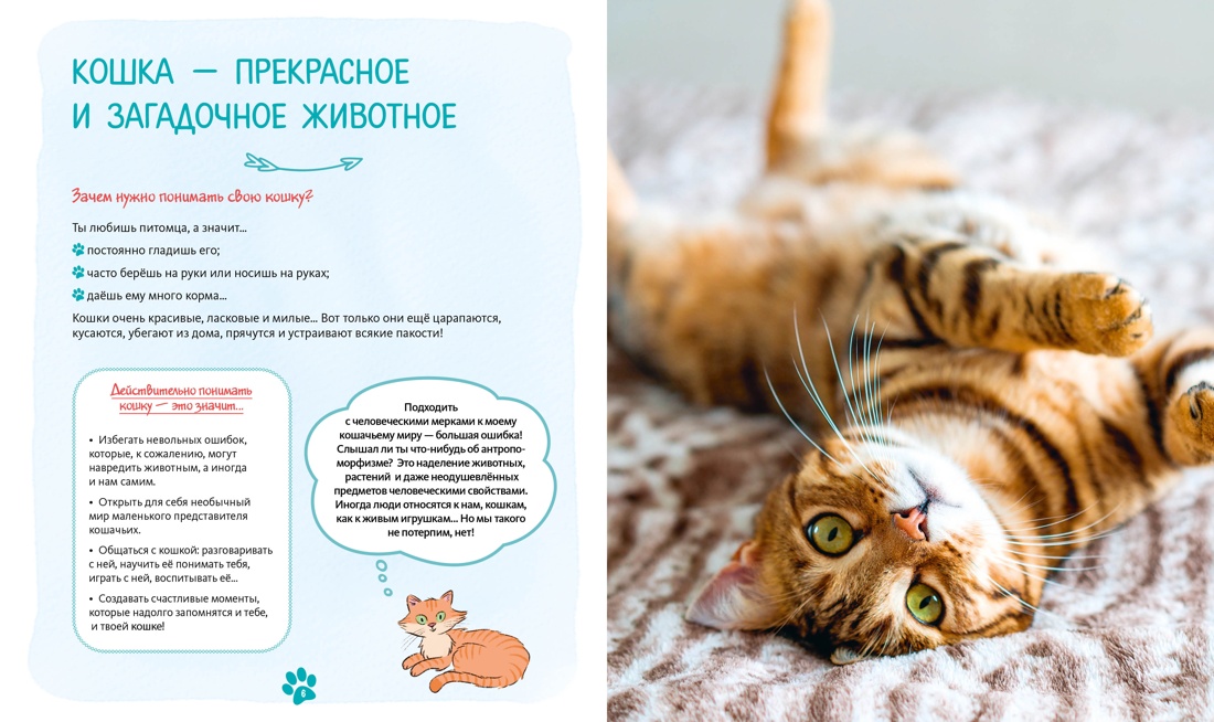 Я и моя кошка. Как понять питомца и стать ему другом, Отрывок из книги