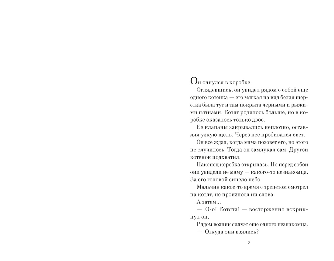 Прощание с котом, Отрывок из книги