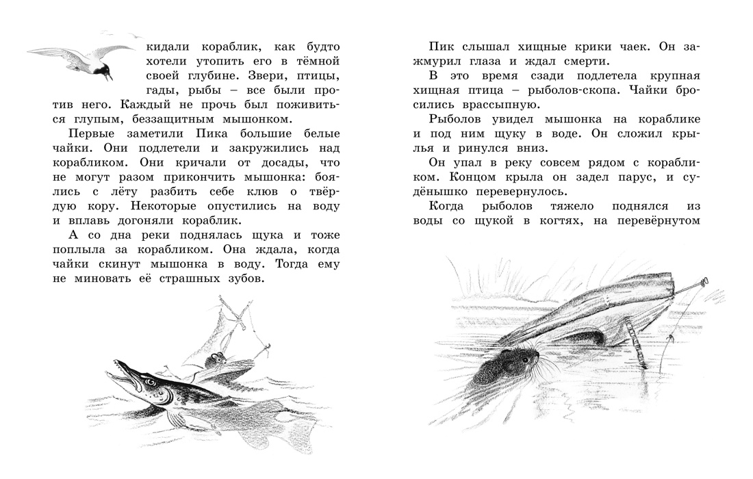 Лесные сказки и рассказы (иллюстр. Е. Рачёва), Виталий Бианки