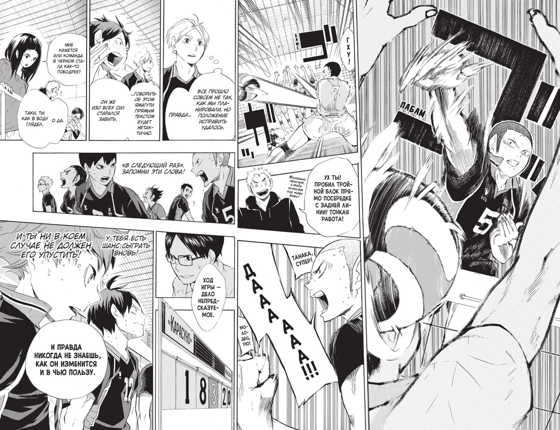 Волейбол! Книга 4. Эволюция. Больше не одинокий Король, Отрывок из книги