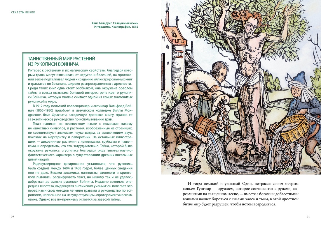 Магия трав и волшебный бестиарий. Сборный комплект из 2-х книг с шоппером, Отрывок из книги