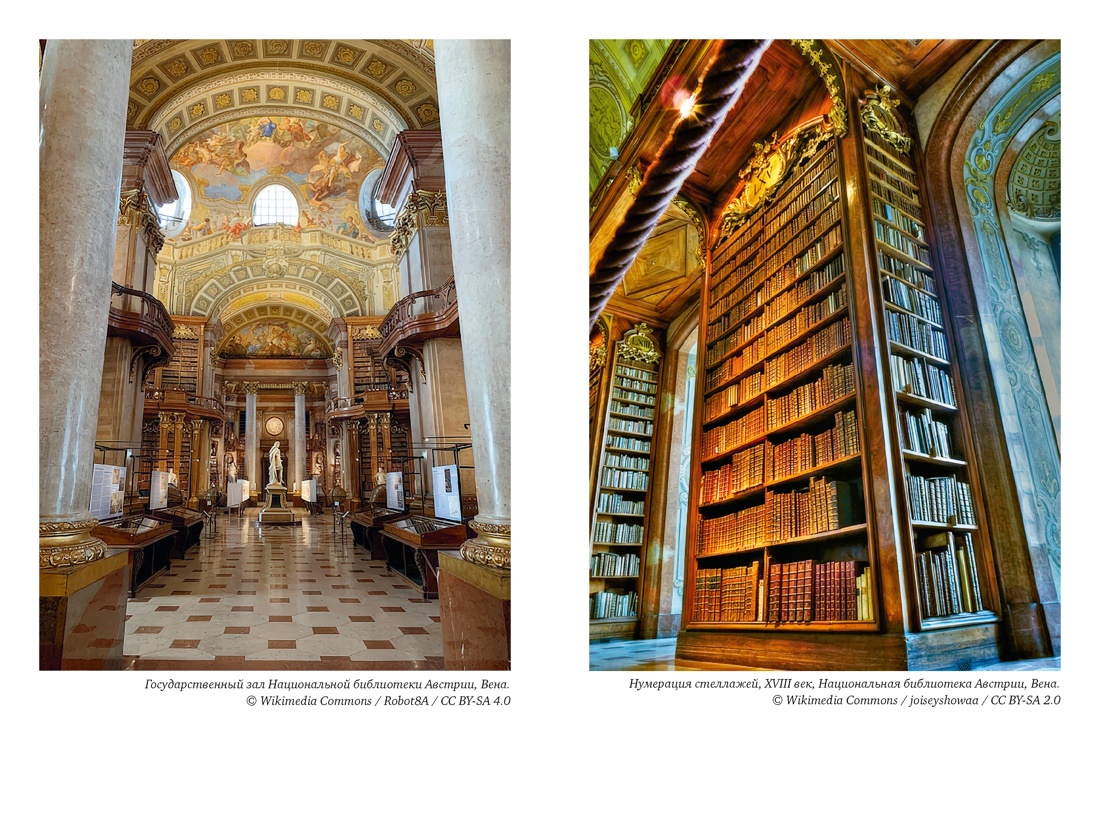 История библиотек: Коллекционеры. Тексты. Здания, Отрывок из книги