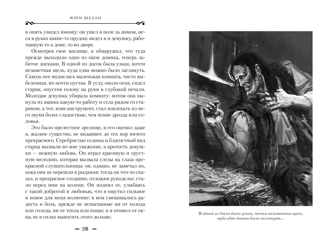 Франкенштейн, Отрывок из книги