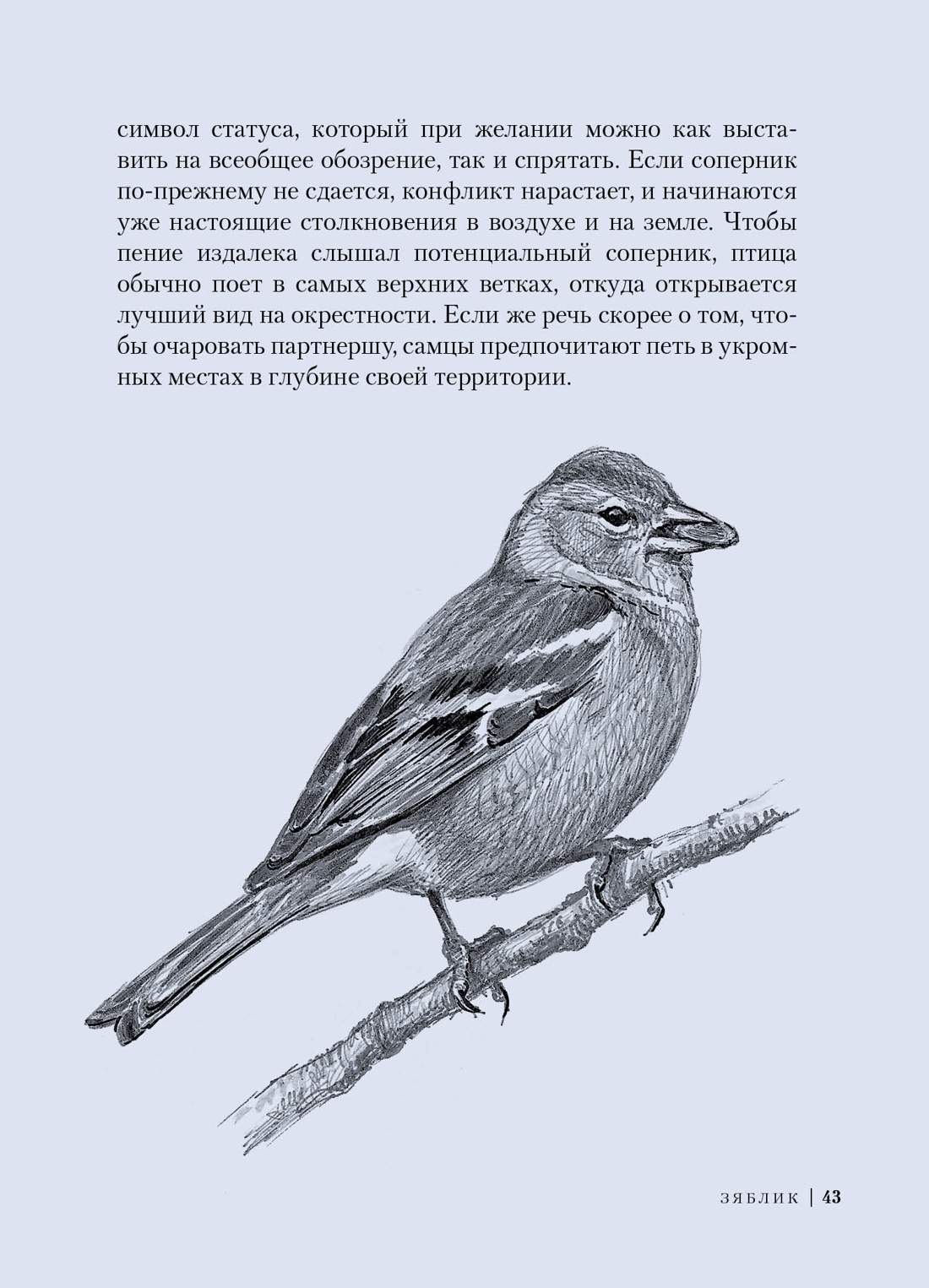Птицы: Крылатые чудеса природы, Отрывок из книги