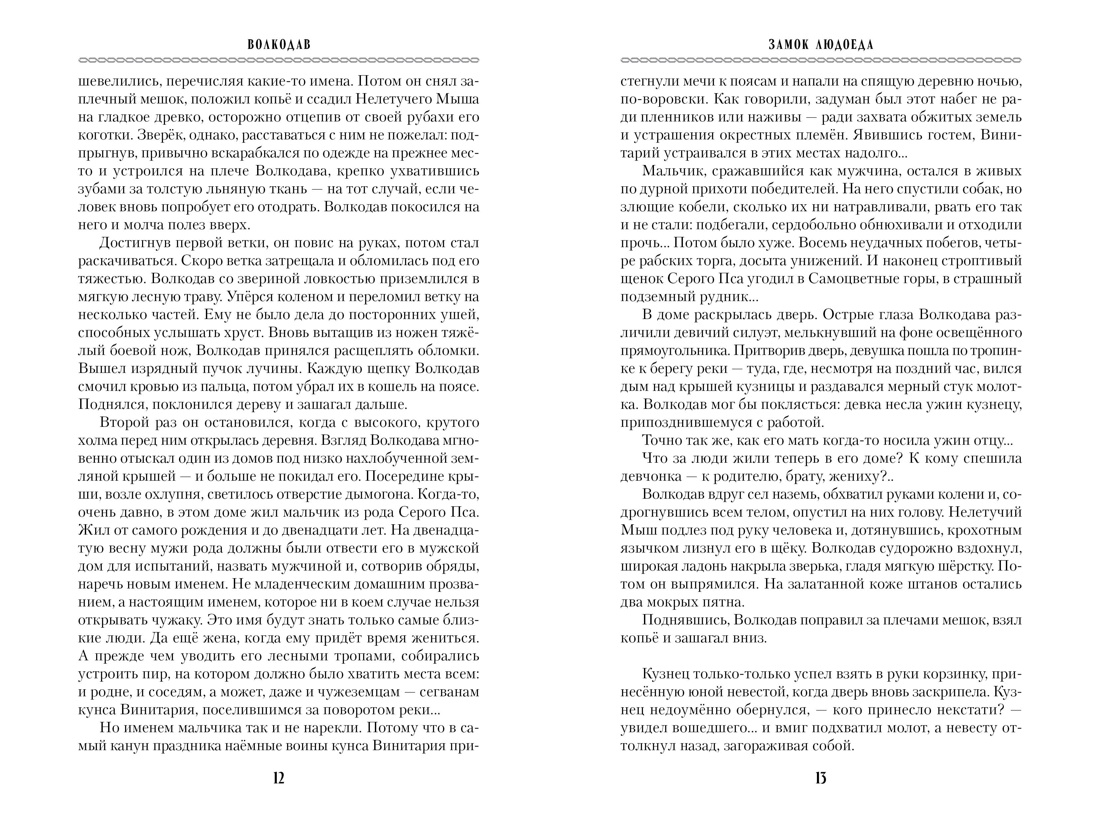 Волкодав (К 30-летию первого издания), Отрывок из книги